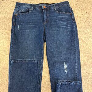 Democracy Absolution High Rise Straight Jeans – Dark Wash – Size 12 – Subtle Dis